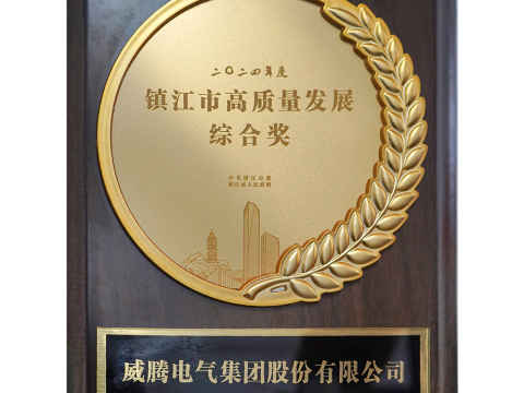 喜讯│利国娱乐国际老牌w66荣获2024年度镇江市高质量生长综合奖