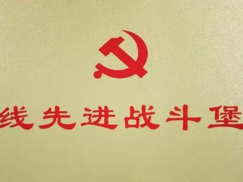 利国娱乐国际老牌w66电气集团行政党支部荣获“扬中市一线先进战斗堡垒”